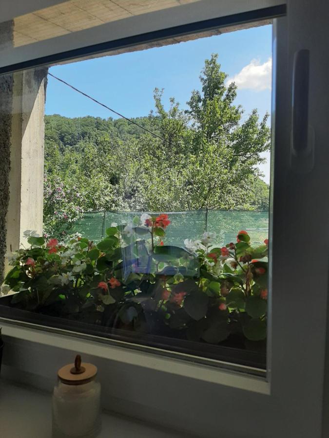 Apartman Mr Guest Krapina Extérieur photo